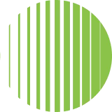 Visual Design