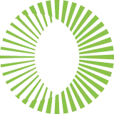 Web Design & Development