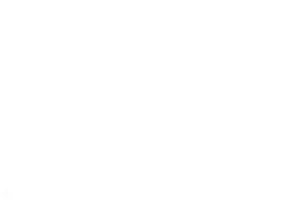 Dhruv Avdhesh